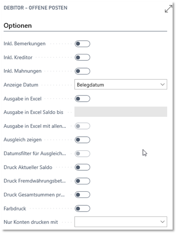 Debitor - Offene Posten Optionen