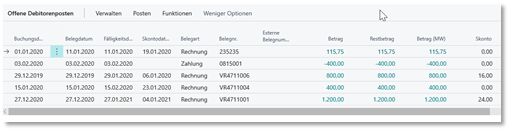 Offene Debitorenposten Subpage