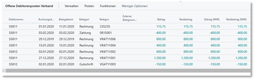 Offene Debitorenposten Verband Subpage