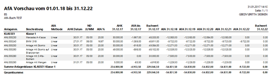 Asset – Preview Report