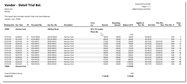 Ext. Vend. Detail Trial Balance Preview